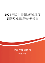 2025年版中國(guó)安防行業(yè)深度調(diào)研及發(fā)展趨勢(shì)分析報(bào)告