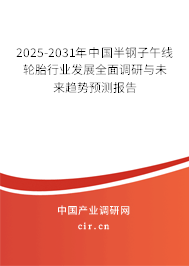 2025-2031年中國半鋼子午線輪胎行業(yè)發(fā)展全面調(diào)研與未來趨勢預(yù)測報告