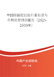 中國硅酮密封膠行業(yè)現(xiàn)狀與市場前景預(yù)測報告（2025-2030年）