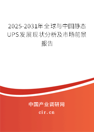 2025-2031年全球與中國(guó)靜態(tài)UPS發(fā)展現(xiàn)狀分析及市場(chǎng)前景報(bào)告