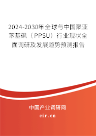 2024-2030年全球與中國聚亞苯基砜(PPSU)行業(yè)現(xiàn)狀全面調研及發(fā)展趨勢預測報告 2024-2030年全球與中國聚亞苯基砜(PPSU)行業(yè)現(xiàn)狀全面調研及發(fā)展趨勢預測報告