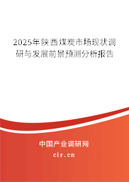 2025年陜西煤炭市場現(xiàn)狀調(diào)研與發(fā)展前景預(yù)測分析報(bào)告