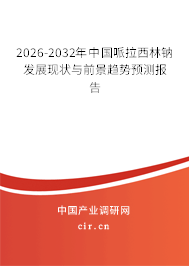 2026-2032年中國哌拉西林鈉發(fā)展現(xiàn)狀與前景趨勢預測報告