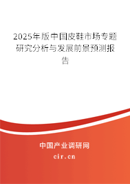 2025年版中國(guó)皮鞋市場(chǎng)專(zhuān)題研究分析與發(fā)展前景預(yù)測(cè)報(bào)告
