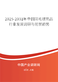 2025-2031年中國羽毛球用品行業(yè)發(fā)展調(diào)研與前景趨勢(shì)