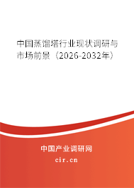 中國蒸餾塔行業(yè)現(xiàn)狀調(diào)研與市場前景（2024-2030年）