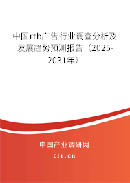 中國rtb廣告行業(yè)調(diào)查分析及發(fā)展趨勢預(yù)測報告（2024-2030年）