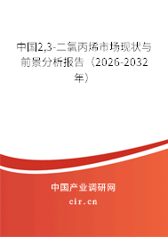 中國(guó)2,3-二氯丙烯市場(chǎng)現(xiàn)狀與前景分析報(bào)告（2026-2032年）