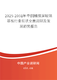 2025-2031年中國觸摸屏玻璃基板行業(yè)現(xiàn)狀全面調(diào)研及發(fā)展趨勢報告