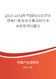 2025-2031年中國電動高爾夫球車行業(yè)發(fā)展全面調(diào)研與未來趨勢預(yù)測報告