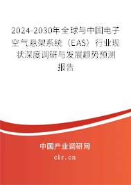 2024-2030年全球與中國電子空氣懸架系統(tǒng)（EAS）行業(yè)現(xiàn)狀深度調(diào)研與發(fā)展趨勢預(yù)測報告