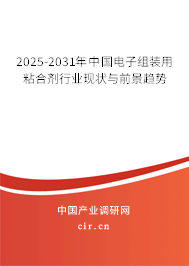 2025-2031年中國電子組裝用粘合劑行業(yè)現(xiàn)狀與前景趨勢