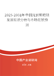 2025-2031年中國光伏顆粒硅發(fā)展現(xiàn)狀分析與市場前景預(yù)測 2025-2031年中國光伏顆粒硅發(fā)展現(xiàn)狀分析與市場前景預(yù)測