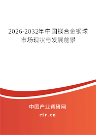 2024-2030年中國鎂合金鋼球市場現(xiàn)狀與發(fā)展前景