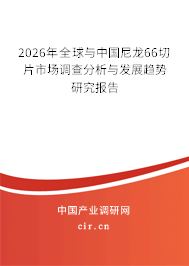 2026年全球與中國尼龍66切片市場調(diào)查分析與發(fā)展趨勢研究報告