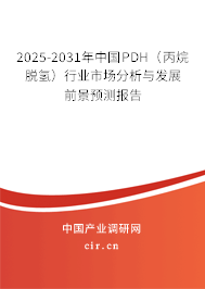 2025-2031年中國(guó)PDH（丙烷脫氫）行業(yè)市場(chǎng)分析與發(fā)展前景預(yù)測(cè)報(bào)告