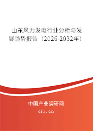 山東風(fēng)力發(fā)電行業(yè)分析與發(fā)展趨勢報(bào)告（2026-2032年）