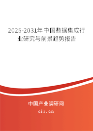 2025-2031年中國數(shù)據(jù)集成行業(yè)研究與前景趨勢報告