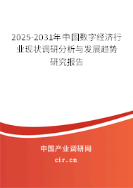 2025-2031年中國數(shù)字經(jīng)濟行業(yè)現(xiàn)狀調(diào)研分析與發(fā)展趨勢研究報告 2025-2031年中國數(shù)字經(jīng)濟行業(yè)現(xiàn)狀調(diào)研分析與發(fā)展趨勢研究報告