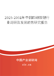 2025-2031年中國四硼酸鋰行業(yè)調(diào)研及發(fā)展趨勢研究報告 2025-2031年中國四硼酸鋰行業(yè)調(diào)研及發(fā)展趨勢研究報告