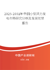 2025-2031年中國(guó)小型風(fēng)力發(fā)電市場(chǎng)研究分析及發(fā)展前景報(bào)告