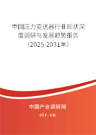 中國壓力變送器行業(yè)現(xiàn)狀深度調研與發(fā)展趨勢報告（2025-2031年）