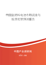 中國氫燃料電池市場調查與投資前景預測報告 中國氫燃料電池市場調查與投資前景預測報告