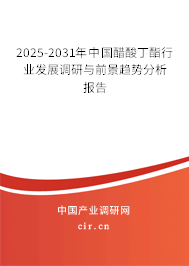 2025-2031年中國醋酸丁酯行業(yè)發(fā)展調(diào)研與前景趨勢分析報告 2025-2031年中國醋酸丁酯行業(yè)發(fā)展調(diào)研與前景趨勢分析報告