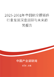 2025-2031年中國航空模鍛件行業(yè)發(fā)展深度調(diào)研與未來趨勢報告
