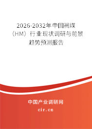 2026-2032年中國褐煤（HM）行業(yè)現(xiàn)狀調(diào)研與前景趨勢預(yù)測報告