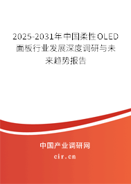 2025-2031年中國(guó)柔性O(shè)LED面板行業(yè)發(fā)展深度調(diào)研與未來(lái)趨勢(shì)報(bào)告 2025-2031年中國(guó)柔性O(shè)LED面板行業(yè)發(fā)展深度調(diào)研與未來(lái)趨勢(shì)報(bào)告