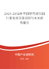 2025-2031年中國(guó)室內(nèi)游樂(lè)園行業(yè)發(fā)展深度調(diào)研與未來(lái)趨勢(shì)報(bào)告