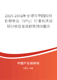 2025-2031年全球與中國視頻處理單元（VPU）行業(yè)現(xiàn)狀調(diào)研分析及發(fā)展趨勢預(yù)測報告
