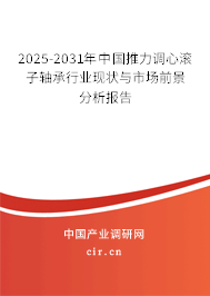 2025-2031年中國推力調心滾子軸承行業(yè)現狀與市場前景分析報告