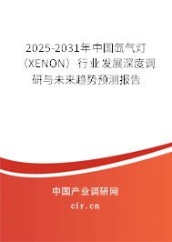 2025-2031年中國氙氣燈(XENON)行業(yè)發(fā)展深度調研與未來趨勢預測報告 2025-2031年中國氙氣燈(XENON)行業(yè)發(fā)展深度調研與未來趨勢預測報告