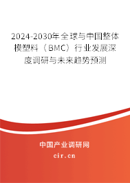 2024-2030年全球與中國整體模塑料（BMC）行業(yè)發(fā)展深度調研與未來趨勢預測