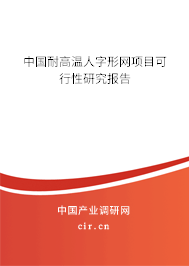 中國耐高溫人字形網(wǎng)項(xiàng)目可行性研究報(bào)告