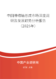 中國(guó)伸縮軸總成市場(chǎng)深度調(diào)研及發(fā)展趨勢(shì)分析報(bào)告（2025年）