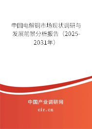 中國電解銅市場現(xiàn)狀調(diào)研與發(fā)展前景分析報告(2025-2031年) 中國電解銅市場現(xiàn)狀調(diào)研與發(fā)展前景分析報告(2025-2031年)