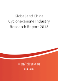 Global and China Cyclohexanone Industry Research Report 2013