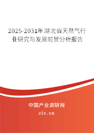 2025-2031年湖北省天然氣行業(yè)研究與發(fā)展前景分析報(bào)告 2025-2031年湖北省天然氣行業(yè)研究與發(fā)展前景分析報(bào)告