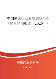 中國磨頭行業(yè)發(fā)展調(diào)研與市場前景預(yù)測報告（2025年）