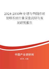 2024-2030年全球與中國績效管理系統(tǒng)行業(yè)深度調(diào)研與發(fā)展趨勢報告