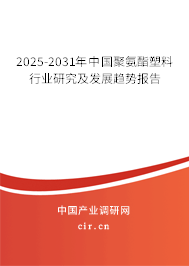2025-2031年中國(guó)聚氨酯塑料行業(yè)研究及發(fā)展趨勢(shì)報(bào)告
