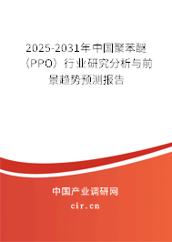 2025-2031年中國(guó)聚苯醚（PPO）行業(yè)研究分析與前景趨勢(shì)預(yù)測(cè)報(bào)告