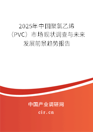 2025年中國聚氯乙烯（PVC）市場現(xiàn)狀調(diào)查與未來發(fā)展前景趨勢報(bào)告