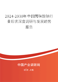 2024-2030年中國苦味酸鈉行業(yè)現(xiàn)狀深度調研與發(fā)展趨勢報告