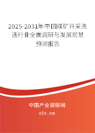2025-2031年中國(guó)煤礦開(kāi)采洗選行業(yè)全面調(diào)研與發(fā)展前景預(yù)測(cè)報(bào)告