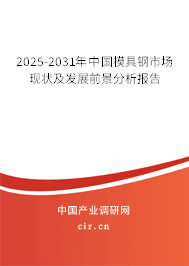 2025-2031年中國模具鋼市場現(xiàn)狀及發(fā)展前景分析報告