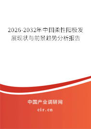 2026-2032年中國柔性陽極發(fā)展現(xiàn)狀與前景趨勢分析報告